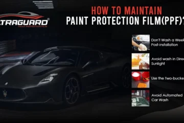 How to Maintain PPF? [6 Useful Tips]