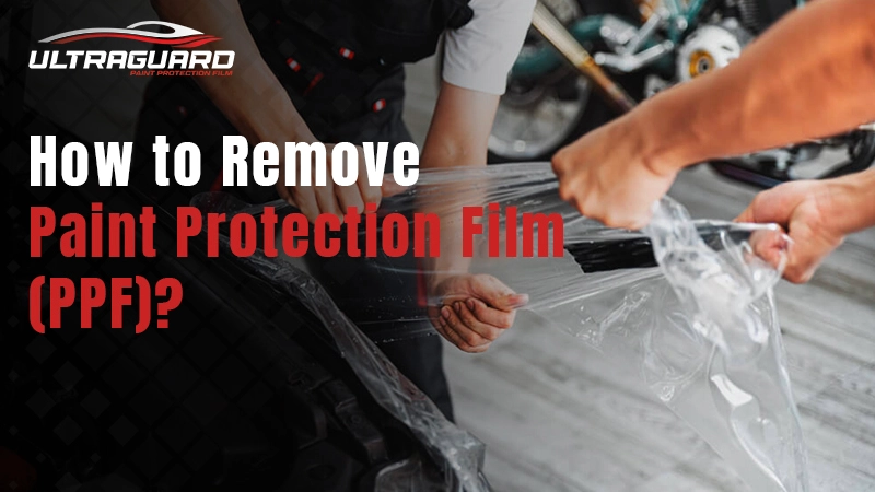 How to Remove Paint Protection Film ( PPF )? [Easy Steps]